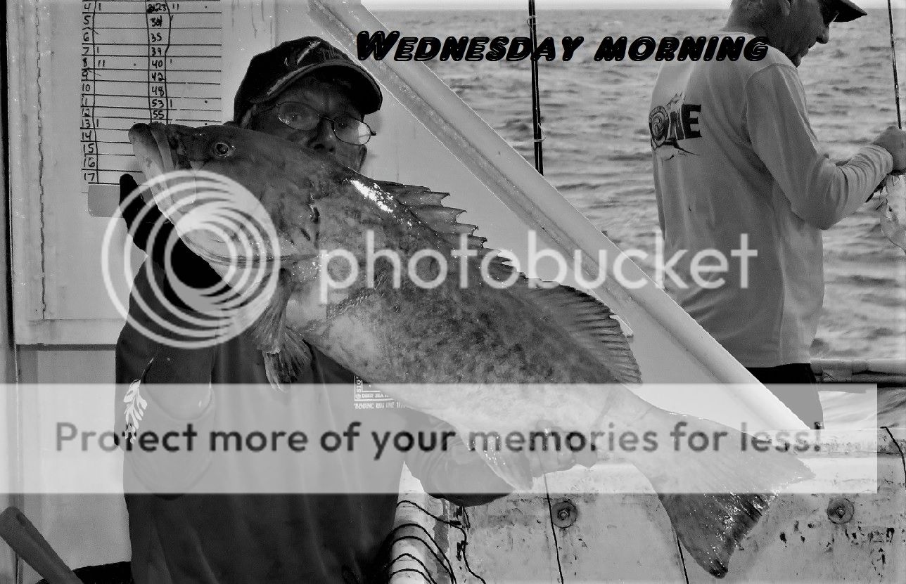 Rough Water FISHING Pensacola Fishing Forum